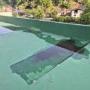 안평초등학교신평분교장 이미지