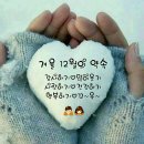 로이애견 이미지