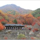 삼성궁 이미지
