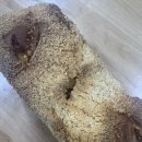 뚜레쥬르 노은월드코아 | [뚜레쥬르 빵 추천] 밤이 쏟아진다! 뚜레쥬르 '마구마구 밤식빵' 내돈내산 솔직 후기