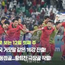 데일리안 이미지