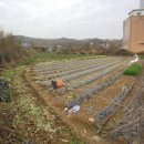 길상면-7 이미지