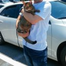 요도 | 수컷 고양이 지타의 요도폐색 수술 후기 (요도루 조성술)