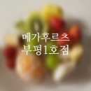 메가후르츠부평