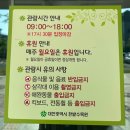대전 가볼만한곳 당일치기 한밭수목원 주차장 요금 놀이터 열대식물원 친구들끼리 데이트
