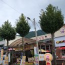 문경새재 맛집 광성식당 약돌돼지와 고등어구이가 맛있는 광성정식 후기