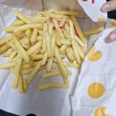 [롯데리아] 나폴리맛피아 모짜렐라 버거세트 (토마토 바질, 발사믹 바질) 내돈내산 후기