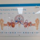 좋은보청기 이미지