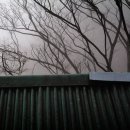 사철나무집민박 이미지