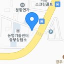 분황로(남) 이미지