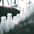 PAT(함양점) | 효능 효과, 가격, 분말, 파우더, 맛, 먹는법, 추천, 후기 (feat. 프로틴 어린이 당뇨 초유 100% 고르는법)
