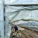 김재형농장 이미지