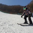 주니어7태권도 이미지