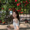 [zaenio] 제니오 레이어드 커브 티, 펄 체인 벨트 후기