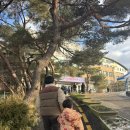 (초등)엄마랑나랑바이올린스타터교실 | 2026학년도 화랑초 예비소집일 후기