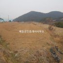 여수바다부동산공인중개사사무소 이미지