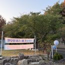 연오랑187 그리고 바다풀빌라 | [가족 여행 숙소 추천] "연오랑 187"- 주말 가족펜션으로 떠나는 힐링 여행