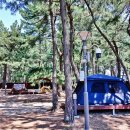 맹방비치캠핑장 이미지