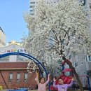 예그린유치원 이미지