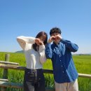 다미숲식당 | 25.05 고창, 군산