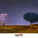 별밤 - 거제시 | 별밤