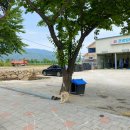 내장산 송백한우 영농조합 | 구례 하동 2박 3일 뚜벅이 여행🐥: 1일차 구례