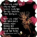 풍기삼