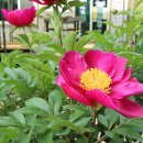 보탑사 주차장 이미지