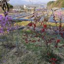 운심농장 이미지