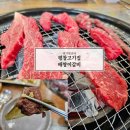 대관령숯불갈비 | 아이랑 평창 대관령고기집 배짱이갈비 가성비 한우 전문점 후기