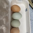 달맞이 농장 이미지
