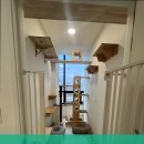 고양이호텔 외갓집 이미지