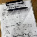 와따투어 | 오키나와 4박 5일 여행 -4｜케라마제도 스노클링 투어 후기 ~ 나하 마지막날