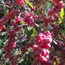 진솔농장 이미지