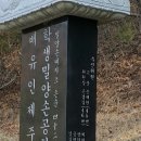 손가들 .선산. 이미지