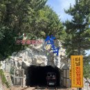 곡란로103번길 (편도) | 삼척 여행 :: 삼척해양레일바이크 꿀팁 및 후기