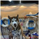 진해유치원 이미지