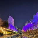 정평천 | 용인 벚꽃 야경 “여기가 진짜였다” 정평천 데이트 코스 실시간 후기