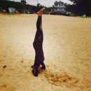 윤진서 카카오 검색결과