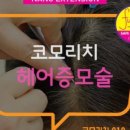 코모리치보령센터 이미지