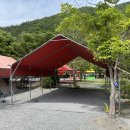 상우농장 야영장 이미지