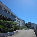 호텔더본제주 | 제주 I 중문숙소 더본호텔 제주 디럭스 트리플 숙박 후기(+시설, 쿠폰, 가격 등)