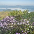 목사동면 수곡2구 마을회관 | 삼산, 안개 너머 기다림의 기록
