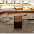 마한문화공원 이미지