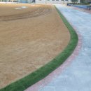 풍각초등학교 이미지