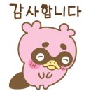 고양이속눈썹 이미지