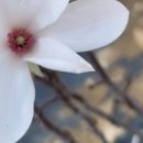 (주)해피나무 이미지