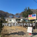 거무골토종닭미꾸리농장 이미지