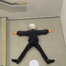 카이알