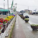 평곡3리 이미지